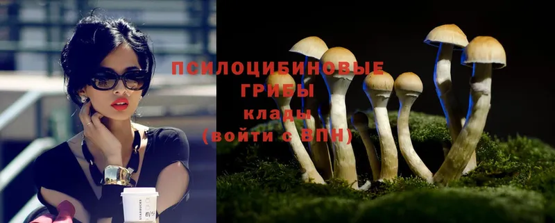 Галлюциногенные грибы MAGIC MUSHROOMS  купить наркотики сайты  Благодарный 